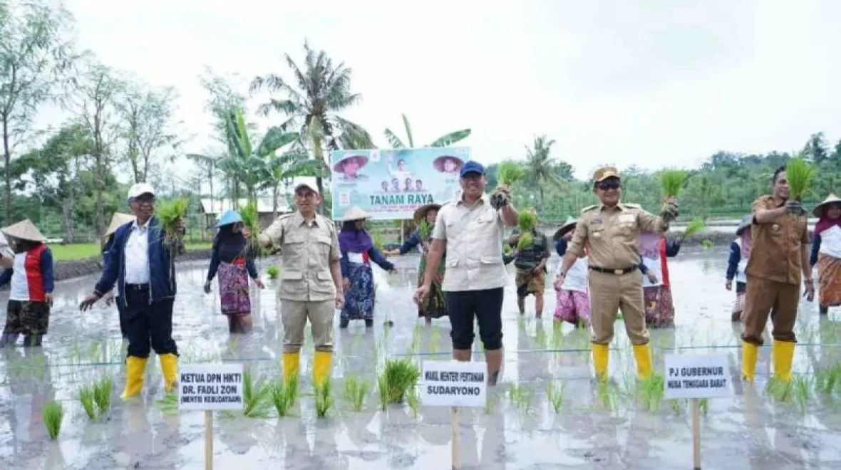 Wamentan Sudaryono ajak petani Lombok maksimalkan masa tanam awal 2025
