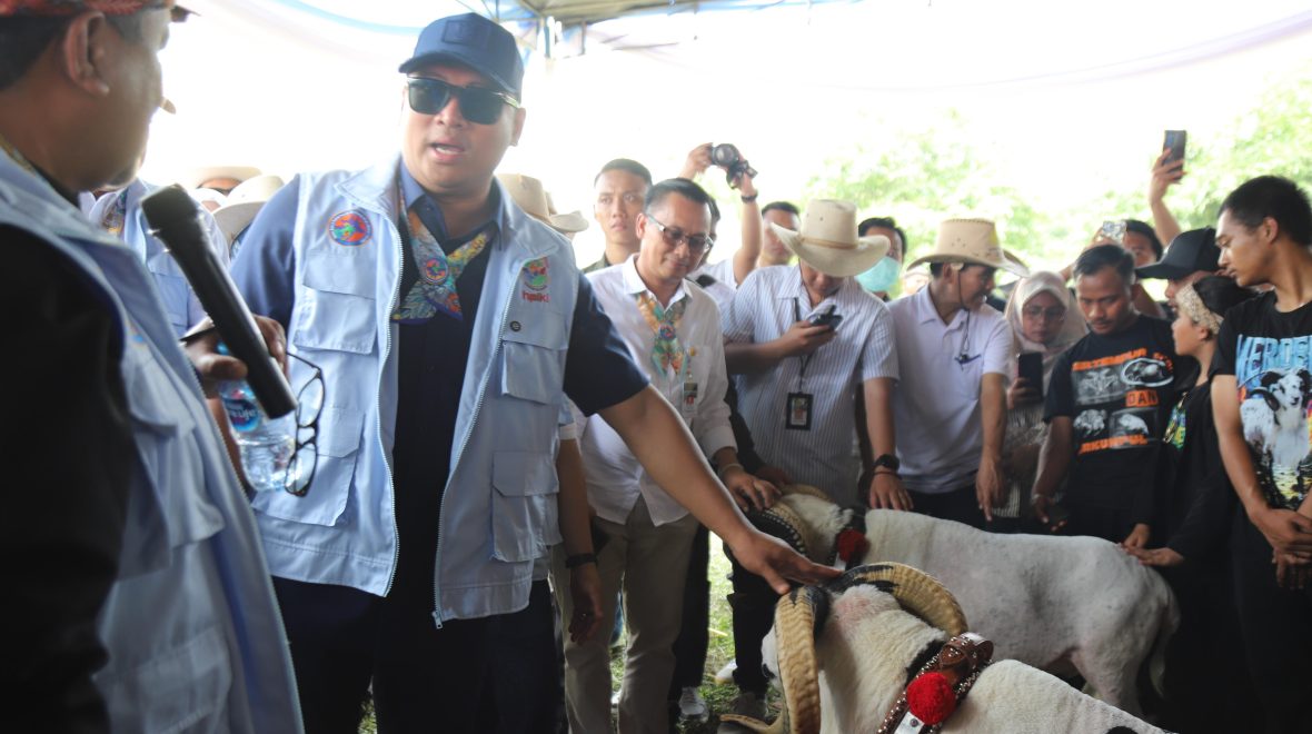 Wamentan Sudaryono Ajak Peternak Manfaatkan Program Makan Bergizi Gratis, Raih Pasar Baru!