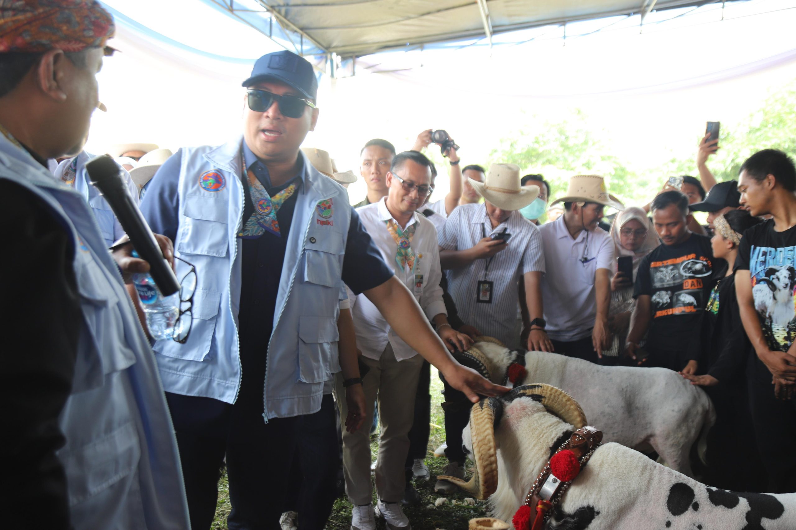 Wamentan Sudaryono Ajak Peternak Manfaatkan Program Makan Bergizi Gratis, Raih Pasar Baru!
