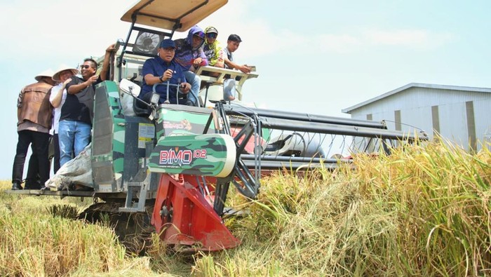 Petani Ungkap Fakta ke Sudaryono, Baru di Era Prabowo Panen Padi Dua Kali
