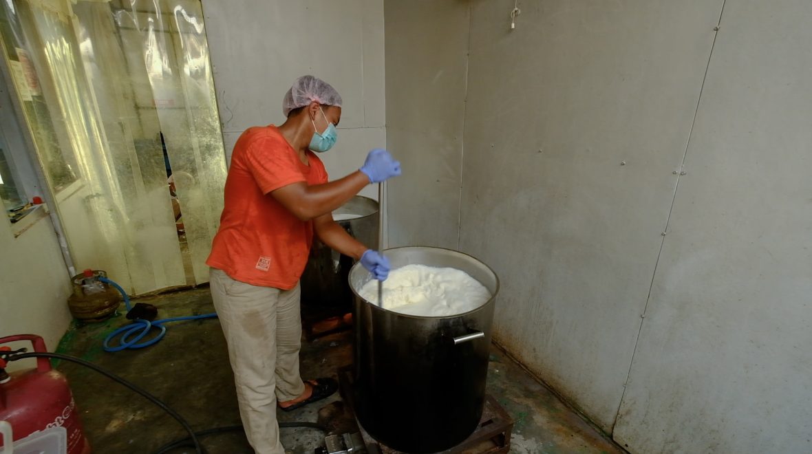Produksi Usaha Susu Sapi Boyolali Meningkat 4 Kali Lipat Sejak Ada MBG, Suplai Hingga 2.000 Liter per Hari ke SPPG