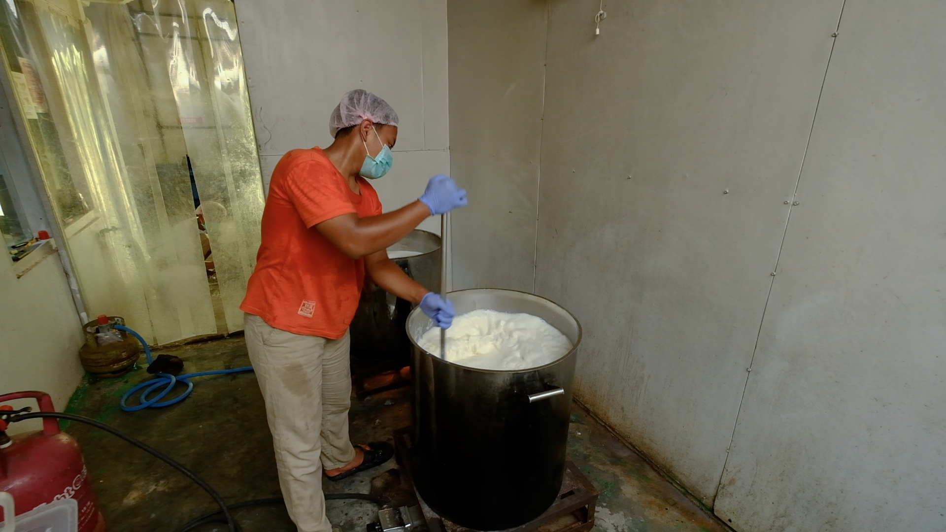 Produksi Usaha Susu Sapi Boyolali Meningkat 4 Kali Lipat Sejak Ada MBG, Suplai Hingga 2.000 Liter per Hari ke SPPG