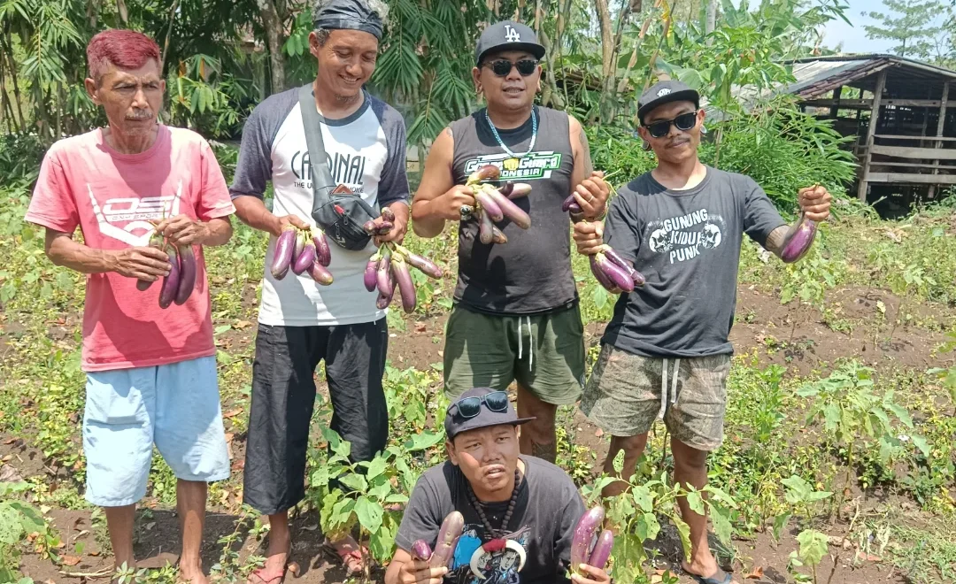 Dari Jalanan ke Sawah, Kisah Petani Punk Gunungkidul yang Kini Pasok Dapur MBG